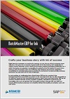 ERP for Ink Industry